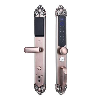 DUYHBAWRS-007 Villa Smart Fingerprint Door Lock Security Door Lock Password Keyess Entry Double- Folio Door Lock