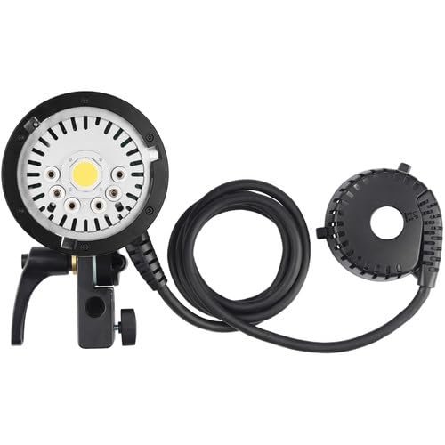 Godox AD-H600P H600P 600W Flash Head Portable Extension Head for AD600 Pro AD600Pro II AD600BM II Fash Head, for Flashpoint XPLOR600 PRO (Bowens Mount)