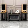 HYDTGZ Subwoofer Speaker Base Stand Heavy Duty Speaker Stand Satellite Speaker Metal Holder Wood Speaker Stands for Home Cinema Surround Sound System,A,35x40 x50cm view 2