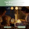 haakaa Baby Night Light | USB Rechargeable LED Funny Animal Cute Chicken Squishy Lamp for Kids,2-Level Dimmable Silicone Nursery Nightlight with 15/30 Min Timer for Breastfeeding view 3
