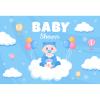 Baby Shower Backdrop Little Boy or Girl Cute Toys Newborn Babies Background for Photography Boy Baby Shower Balloons Cake Table Backdrop Banner Birthday Festive Party Celebration Wall Posters 20x10ft view 1