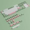 134PCS Keycaps OEM Height Inspired Double Shot Keycaps For Mechanical Keyboards Thick Keycap view 4