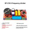 Tassteen HiFi Frequency Divider Bookshelf Speaker Dedicated Crossover Fever Adjustable One High One Low Two Way Audio Crossover view 2