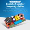 Tassteen HiFi Frequency Divider Bookshelf Speaker Dedicated Crossover Fever Adjustable One High One Low Two Way Audio Crossover view 4