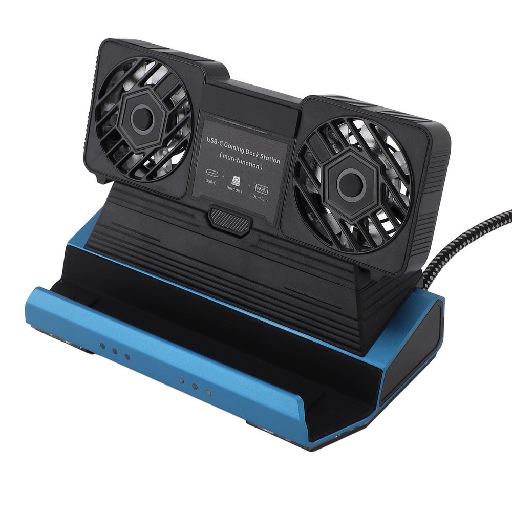 10 in 1 Docking Station for Steam Deck, Rog Ally, Legion Go, Claw, 4K 60Hz Docking Station with Detachable Dual Cooling Fan, 4 USB Ports, 100W PD Charging, 1000Mbps