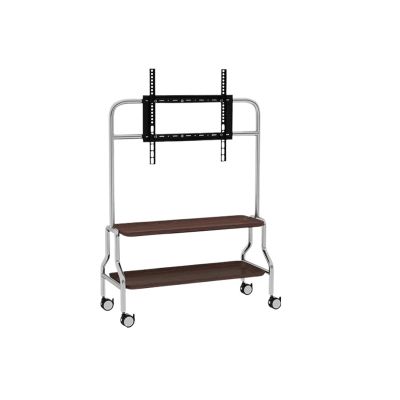 ADPVRLUQ Stainless Steel TV Floor Stand for Home Living Room and Bedroom Detachable 40-80 inch TV Stand with 360 Moving Pulleys(Double Layer)