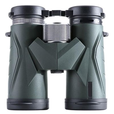 Binoculars Outdoor Travel Telescope Portable Binoculars 10x42 Bird Watching Telescope Low Light Night Vision Telescope Binocular