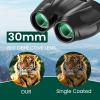 12x30 Compact Binoculars for Adults, High Power Lightweight Small Binoculars with Phone Adapter for Cruise Ship Hiking Bird Watching Sports Safari Viewing Football Sports Concert view 2