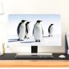 Baocicco Penguin Waterproof Computer Monitor Cover 22, 23, 24, 25 Inch Cute Animals in Snowfield Laptop Computer Cover for Home Office Decoration Anti-Static Dustproof Protective Cover for LCD/LED/HD view 2