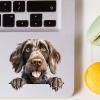 100 PCS German Wirehaired Pointer ipad Stickers Easy Application Stickers for Water Bottle Cup Laptop 1.5"/3.75cm Sticker for Man Children Kids, Funny Gifts for Pet Owner view 1