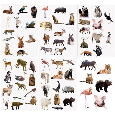 60pcs Cute Real Animal Stickers, True Safari Jungle Stickers for Kids Small Vinyl Waterproof Realistic Wild Zoo Animal Decals for Water Bottles, Laptops, and Scrapbooks Party Gift