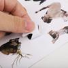 60pcs Cute Real Animal Stickers, True Safari Jungle Stickers for Kids Small Vinyl Waterproof Realistic Wild Zoo Animal Decals for Water Bottles, Laptops, and Scrapbooks Party Gift view 4
