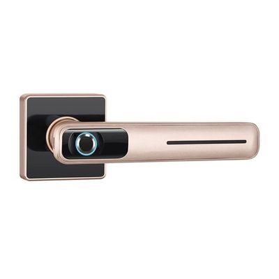 PNAWLLCF 1 Set Smart Electronic Door Lock Fingerprint Lock with Key for Home Kit(Gray)