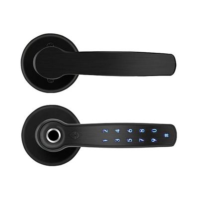 PNAWLLCF Smart Fingerprint Door Lock Smart Biometric Keypad Password Handle Lock App Unlock Keyless Entry Electronic Lock(D)