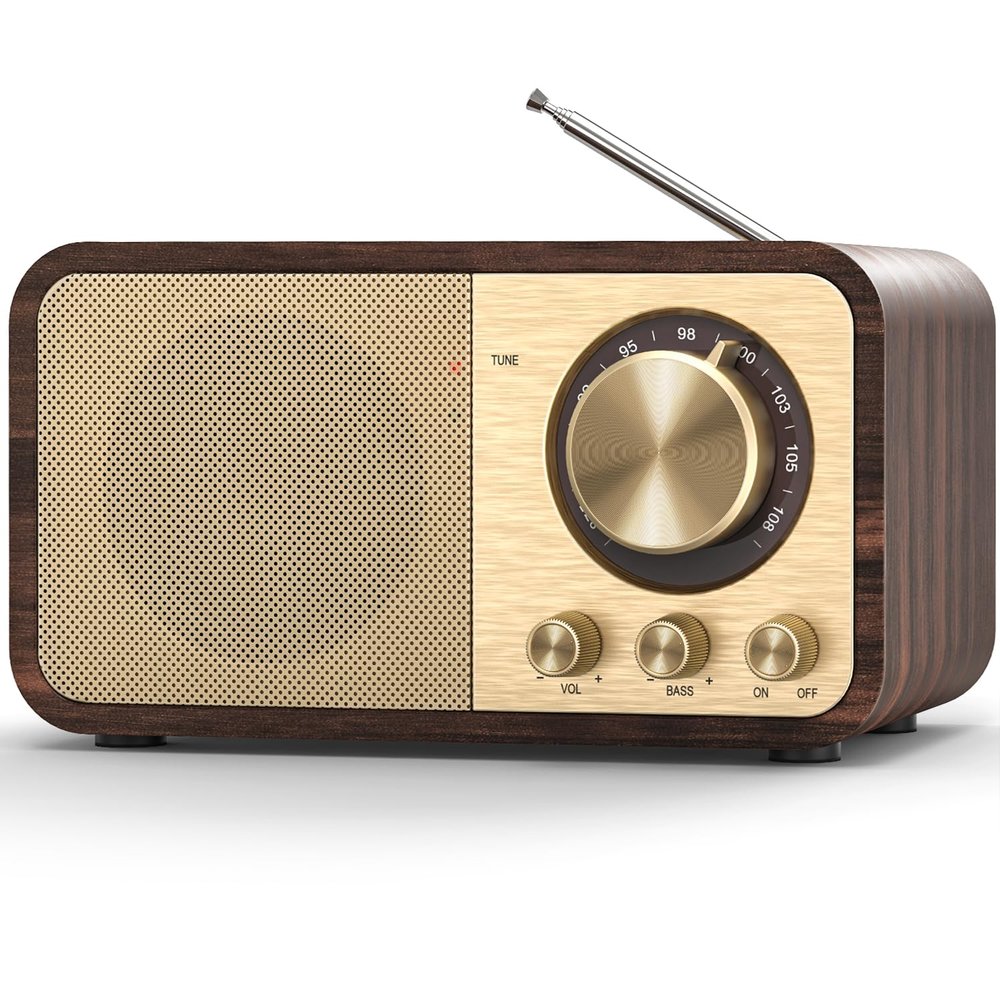 Tendak Vintage FM Radio with Best Reception, Rechargeable Retro Radios