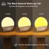 2025 Upgraded Wake Up Light Sunrise Alarm Clock for Bedroom, 17 Nightlights, Sound Machine with 5W Bluetooth Speaker, 22 Soothing Sounds, Sleep Timer, Dual Alarms, FM Radio, Music Rhythm Light Effects view 3