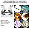 40X-1000X Compound Binocular Microscope with LED Illumination, Double Layer Mechanical Stage & Phone Holder for Home Educational Use view 3
