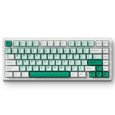 MCHOSE G75 PRO 75% Wireless Mechanical Keyboard, TKL Keyboards Tri-Mode BT5.0/2.4GHz/USB-C, Hot Swap Custom Creamy Keyboards Linear Switch, Double Shot PBT Keycaps RGB LED Backlit, White&Green