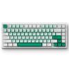MCHOSE G75 PRO 75% Wireless Mechanical Keyboard, TKL Keyboards Tri-Mode BT5.0/2.4GHz/USB-C, Hot Swap Custom Creamy Keyboards Linear Switch, Double Shot PBT Keycaps RGB LED Backlit, White&Green view 1