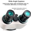 20000X Compound Binocular Microscope with Cell Phone Adapter, Dual LED Illumination, Slide Set, and 360 Swivel for Education and Lab Use view 3