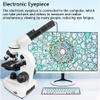 20000X Compound Binocular Microscope with Cell Phone Adapter, Dual LED Illumination, Slide Set, and 360 Swivel for Education and Lab Use view 4