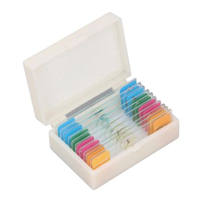 10Pcs Microscope Slides with Specimens Animal Plant Glass Slides Laboratory Supplies for Observation