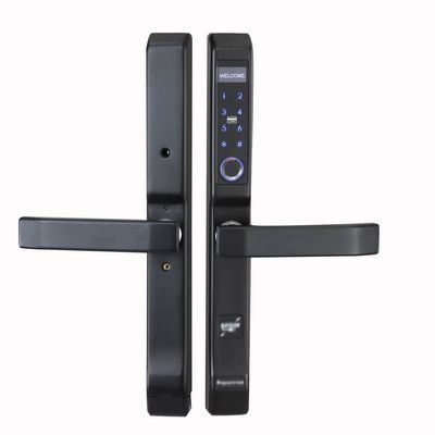 DUYHBAWRS-007 Door Locks Fingerprint, Fingerprint Smart Keyless Lock Waterproof Outdoor Smart Lock biometric Electronic Door Lock(Black)