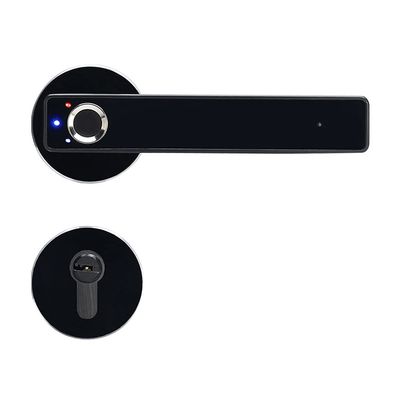 DUYHBAWRS-007 Intelligent Semiconductor Fingerprint Lock Electronic Biometric Fingerprint Security Door Lock for Indoor Home Decoration