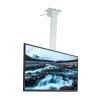LGHLZGVF Ceiling TV Mount Bracket, TV Stand, Height Adjustable Motorized Ceiling TV Mount, Remote Control and Dual Control Switch, Adjust The Distance Between The Left and Right Holes (Color : White, view 1