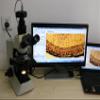 Lab Microscope Accessories 3MP 5MP 10MP 14MP USB 2.0 Industrial Camera CCD C Mount Adapter for Microscope(10MP) view 3