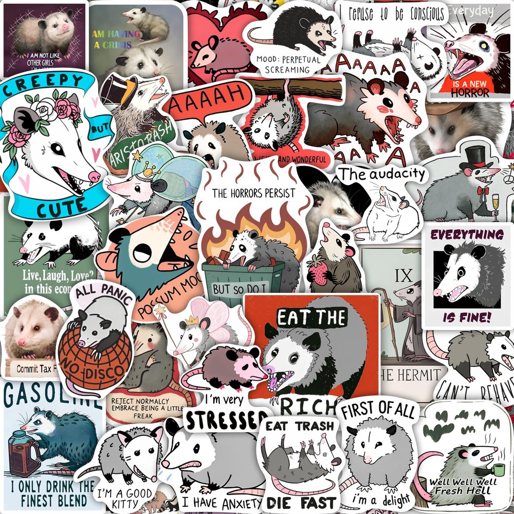 100Pcs Possum Stickers, Opossum Stickers - Possum Gifts - Opossum Party Decoration, Favors - Gift for Women & Men