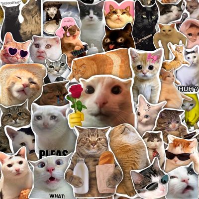 100Pcs Cat Meme Stickers, Funny Cat Sickers for Water Bottle - Pet Meme Party Decorations, Favors - Funny Decals - Gift for Women & Men