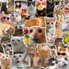 100Pcs Cat Meme Stickers, Funny Cat Sickers for Water Bottle - Pet Meme Party Decorations, Favors - Funny Decals - Gift for Women & Men view 1