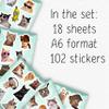 100Pcs Cat Meme Stickers, Funny Cat Sickers for Water Bottle - Pet Meme Party Decorations, Favors - Funny Decals - Gift for Women & Men view 2