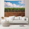 CHNYWORK 15ftx10ft Sugar Cane Plantation Backdrop Fresh Green Sugar Cane Trees with Blue Sky Background Farmer Sugar Cane Harvest Party Decor Portrait Photo Studio Props view 4