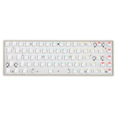 APOJHGF G65 TKL Mechanical Keyboard with Rapid Trigger Magnetic Switch Compact RGB 68(Grey-Barebone)