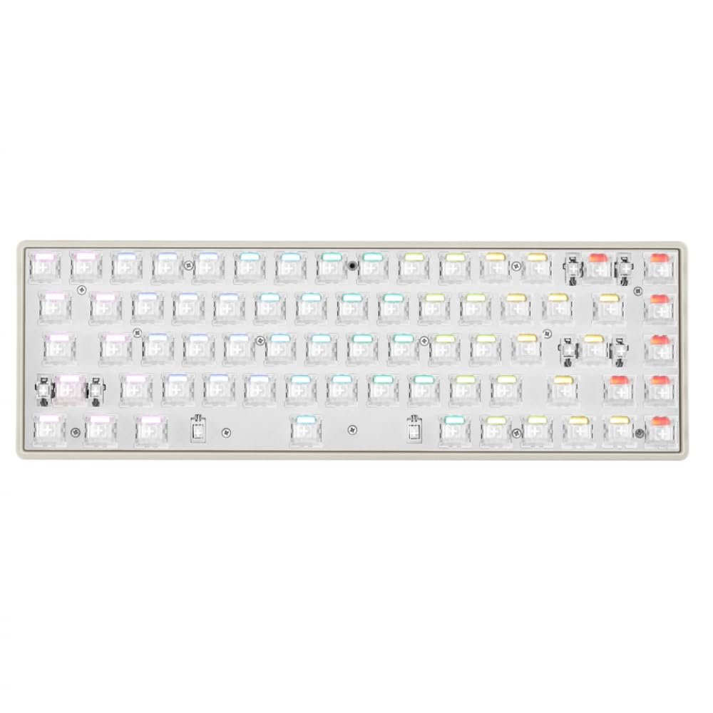 APOJHGF G65 TKL Mechanical Keyboard with Rapid Trigger Magnetic Switch Compact RGB 68(Grey-Barebone)