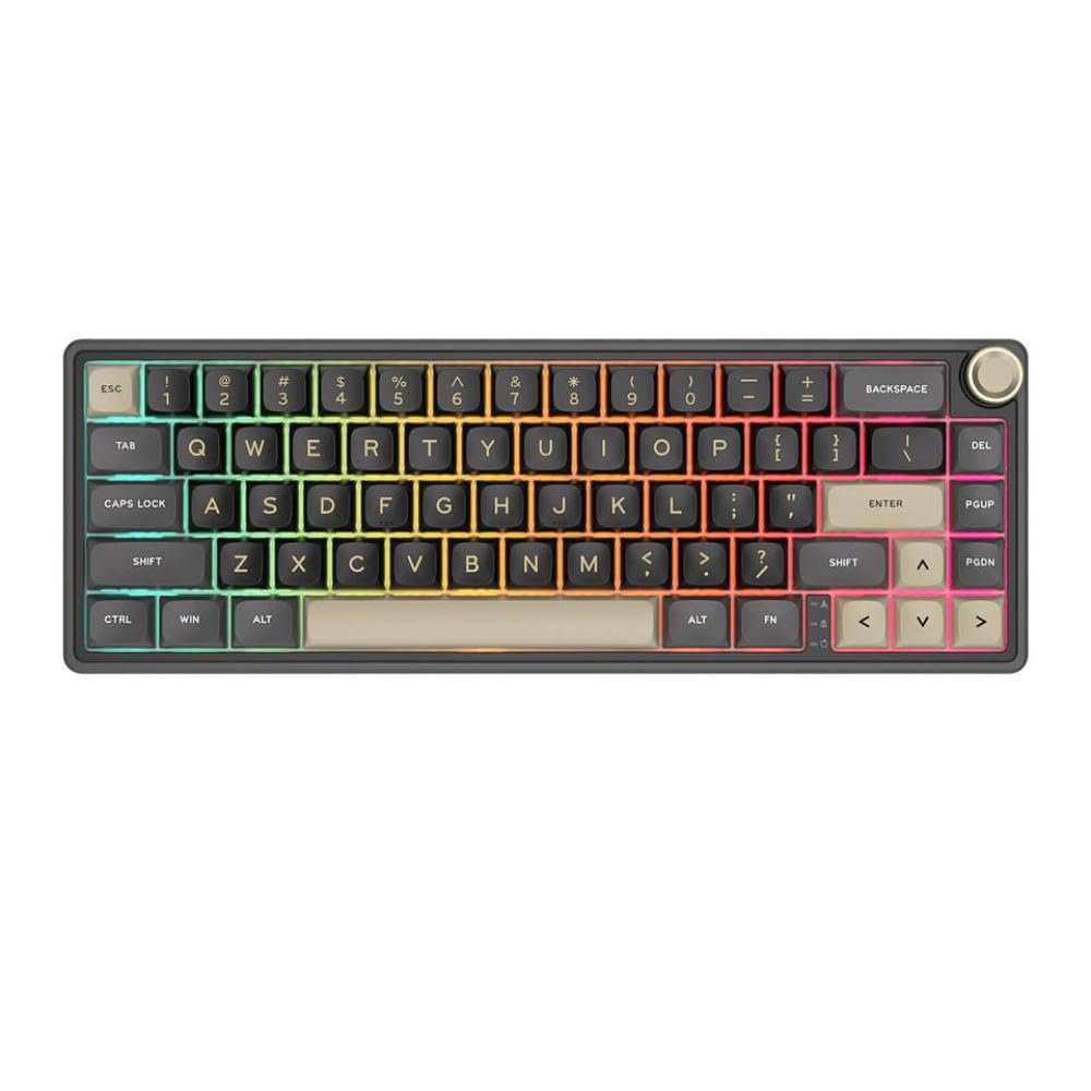 Gasket Wired Hot-swappable 66 Key 65% RGB Backlit Mechanical Keyboard Compatible with Brazilian Portuguese by RK R65(Phantom)