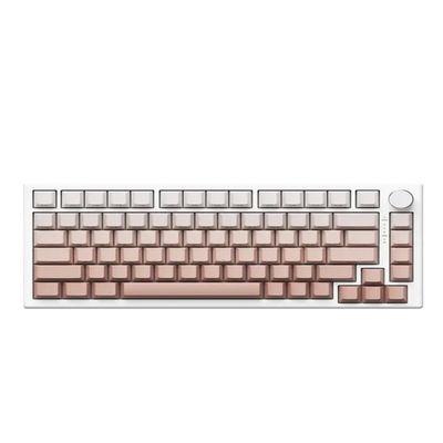 APOJHGF A75 Hot Swappable 75% Wired Mechanical Keyboard Switch Customized Compatible with FPS and Valorant Gamers PC Gifts(A75-Red-Mag)
