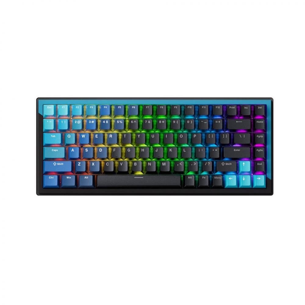 APOJHGF Compact TKL Mechanical Keyboard with Magnetic Switches and RGB 75 Percent Layout 84(Blue - Silent Switch)