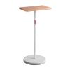 Floor Stand with Page Paper Clips, Tablet Floor Stand Holder, Height & Flat Plate Adjustable, Table Side Design, Suitable for Readers, Students and Children, for Home, School view 1