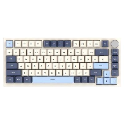 APOJHGF Customizable Mechanical Keyboard with K85 Magnetic Switch RGB Hot-swappable Design Metal Knobs Compatible with FPS Compatibility(Blueberry)