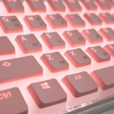 APOJHGF Korean Layout PBT Pudding Keycap Set Compatible with Mechanical Keyboards Compatible with MX Switch OEM Profile Keycaps(Korean Pink)