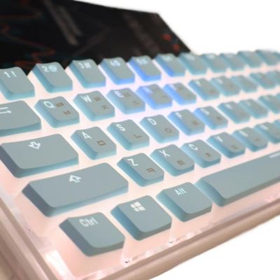 APOJHGF Korean Layout PBT Pudding Keycap Set Compatible with Mechanical Keyboards Compatible with MX Switch OEM Profile Keycaps(Korean Blue)