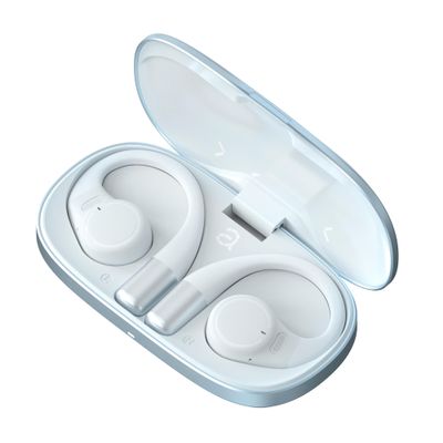 aidio X1 AI Voice Recorder Transcriber, AI Translation Earbuds Real Time, APP Control with iOS & Android, AI Transcription & Summarize, Noise Canceling, Recording Device for Lectures/Meetings/Calls