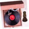 DIYEAH Detangling Brush Record Cleaning Brush Static Cleaner Vinyl Cleaning Tool Long Playing Record Cleaner view 2
