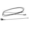 Ailgely Rubber Car Radio Antenna Mast Aerial, Great AM FM Stereo Reception, 180 Degree Swivel Base, Signal Range Up to 10 Miles, Flexible Antiaging Material, Long Service Life, Easily view 3