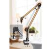 GOWENIC USB Microphone, 192KHZ/24Bit Plug & Play PC Computer Podcast Condenser Cardioid Mic Kit with RGB Boom Arm Stand for Recording Vocal Voice, Gaming, Singing, view 3