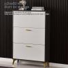 JHDXL Entrance Shoe Cabinet, Household Essentials, Wood Shoe Organizer, Space-Saving Shoe Storage, Suitable for Entrance, Living Room and Corridor(Black,70 * 24cm/27.6 * 9.4in) view 2