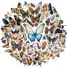 100Pcs Butterfly Stickers,Waterproof Butterfly Stickers Sticker for Water Bottle Laptop Phone Cases Planner Skateboard Luggage Helmet Party Favor Decor,Ideal for Adults Teens Teacher Rewards C3K811G view 1